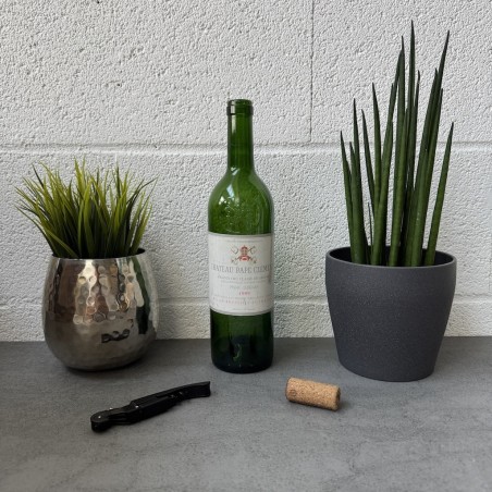 Tableau Château Pape Clément 1989 - Grand cru classé